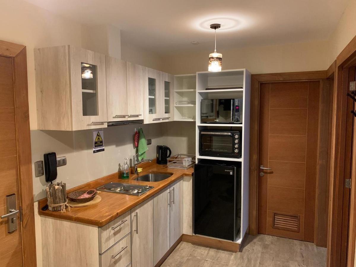 Entre Cumbres Apart Hotel Coyhaique Εξωτερικό φωτογραφία